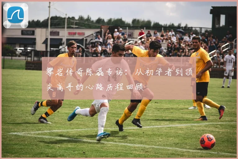 攀岩传奇陈磊专访:从初学者到顶尖高手的心路历程回顾