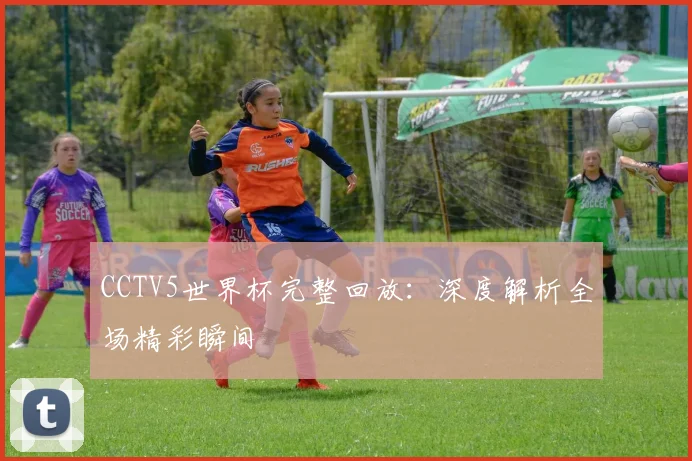 CCTV5世界杯完整回放:深度解析全场精彩瞬间