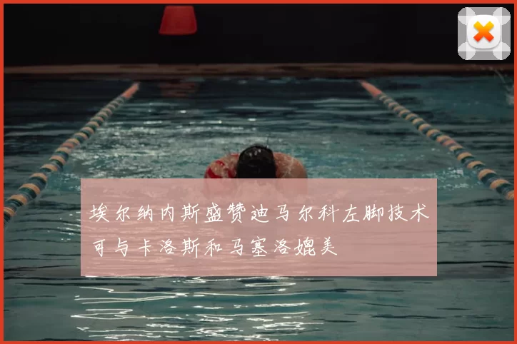 埃尔纳内斯盛赞迪马尔科左脚技术可与卡洛斯和马塞洛媲美