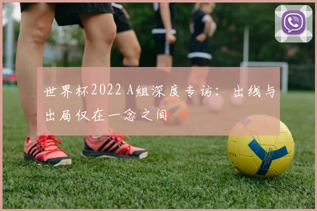 世界杯2022 A组深度专访:出线与出局仅在一念之间