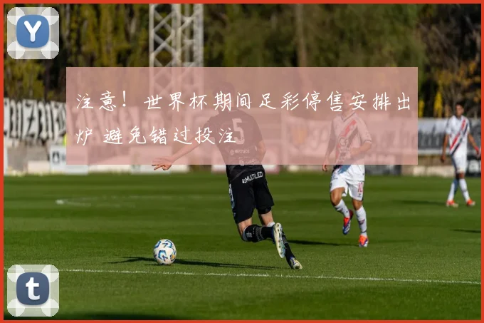 注意！世界杯期间足彩停售安排出炉 避免错过投注