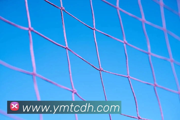 kaiyun平台生态图