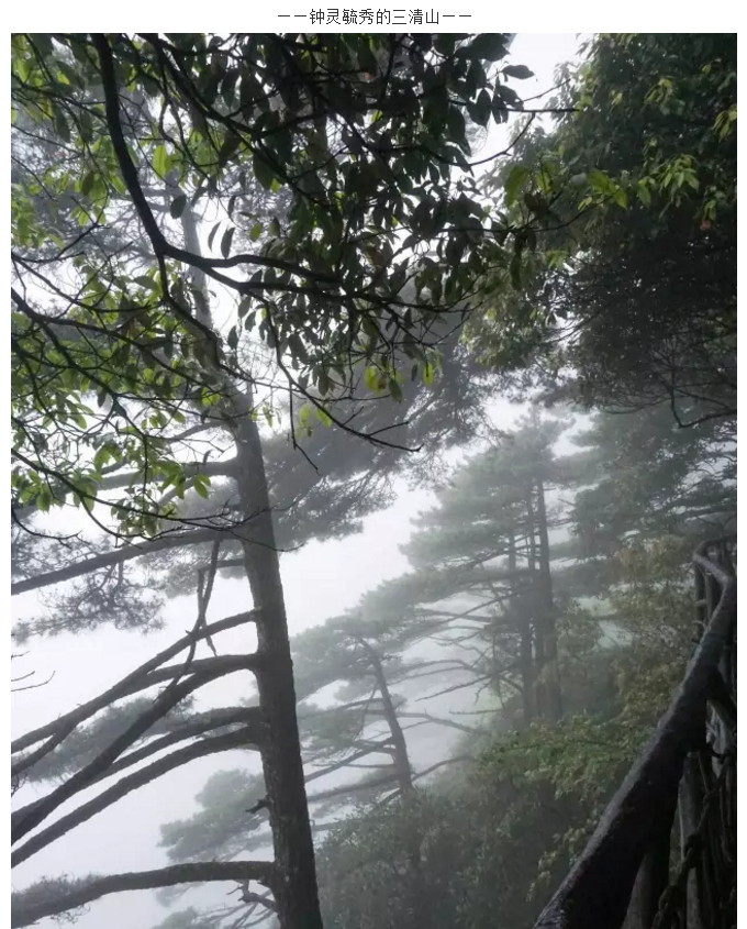 万事娱乐团队旅游活动圆满结束