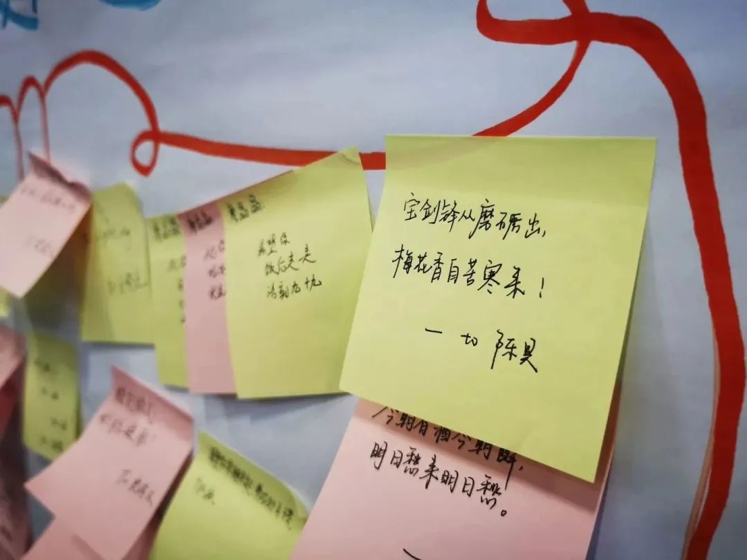 万事娱乐一起奔赴山海，领跑未来！